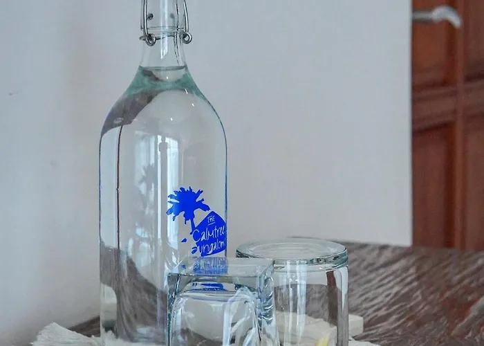 ザ　カームツリー　バンガローズ